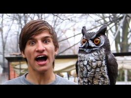 Rebecca Black - Friday Parody ( Tuesday ) Rebecca Black - Friday Parody ( Tuesday )
