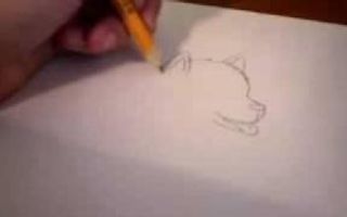 How do draw a husky puppy How do draw a husky puppy