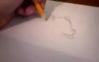 How do draw a husky puppy How do draw a husky puppy