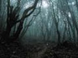 haunted wood RPG! haunted wood RPG!