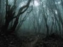 haunted wood RPG! haunted wood RPG!