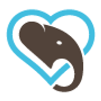 How to Help Elephants - World Elephant Day How to Help Elephants - World Elephant Day