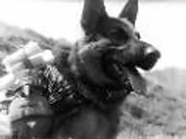 Kaiser Kaiser