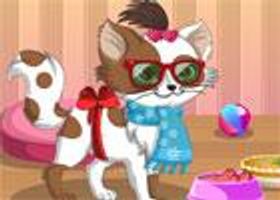 Cat Games- Kitty Games Online Cat Games- Kitty Games Online