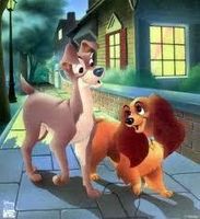 What Lady and the Tramp character are you? What Lady and the Tramp character are you?