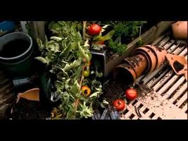 Bridge to Terabithia (Full Movie) Bridge to Terabithia (Full Movie)