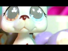 LPS- Stuck Together -Episode 5 (Misunderstanding) LPS- Stuck Together -Episode 5 (Misunderstanding)