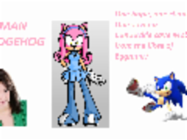 Human-Hedgehog Human-Hedgehog