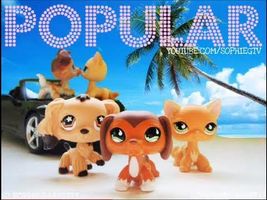 Littlest Pet Shop: Popular (Episode #1: Who's That Girl?) Littlest Pet Shop: Popular (Episode #1: Who's That Girl?)