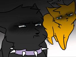 Warrior Cats Spoof: More Wise Words (of Nicolas Cage) Warrior Cats Spoof: More Wise Words (of Nicolas Cage)