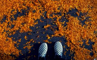 Cavetown - Let Me Feel Low (feat. Miloe) Cavetown - Let Me Feel Low (feat. Miloe)