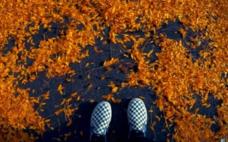 Cavetown - Let Me Feel Low (feat. Miloe) Cavetown - Let Me Feel Low (feat. Miloe)