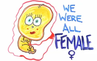 We were all female We were all female