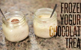 FROZEN YOGURT CHOCOLATE TREAT FROZEN YOGURT CHOCOLATE TREAT