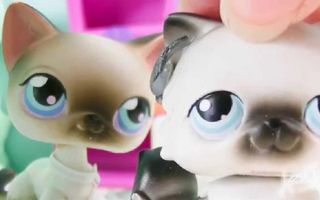 LPS- Stuck Together -Episode 8 (Ghost Hunters) LPS- Stuck Together -Episode 8 (Ghost Hunters)