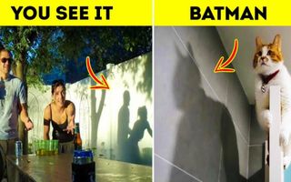 Never Trust Shadows !!! ? Never Trust Shadows !!! ?