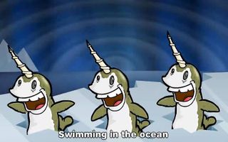 Narwhals Narwhals
