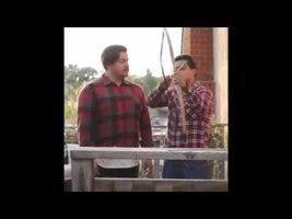 My favorite vines My favorite vines