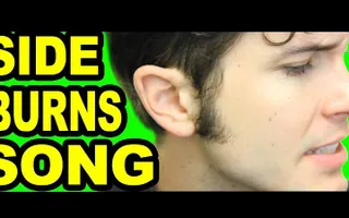 THE SIDEBURNS SONG THE SIDEBURNS SONG
