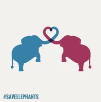 The Nature Conservancy - #SaveElephants The Nature Conservancy - #SaveElephants