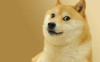 Are You A Doge? Are You A Doge?
