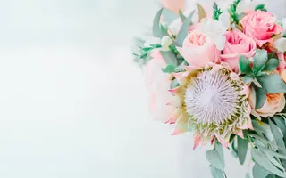 Flower Delivery Flower Delivery