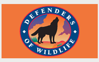 What You Can Do to Help Gray Wolves What You Can Do to Help Gray Wolves
