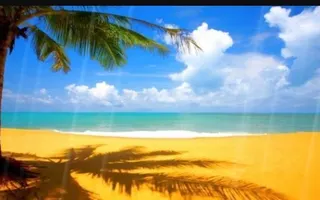 Summer vacation role-play Summer vacation role-play
