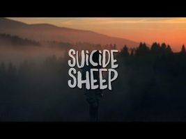 PETIT BISCUIT - Sunset Lover PETIT BISCUIT - Sunset Lover