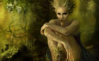 Fantasy RP (1) Fantasy RP (1)