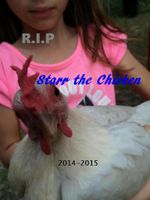 R.I.P Starr R.I.P Starr