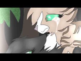 Hollyleaf's death animation Hollyleaf's death animation