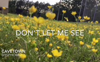 Dysphoric - Cavetown (Lyric Video) Dysphoric - Cavetown (Lyric Video)