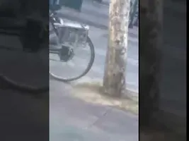 Gotta Go Fast Gotta Go Fast