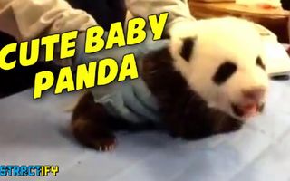 WARNING: CUTENESS OVERLOAD WARNING: CUTENESS OVERLOAD