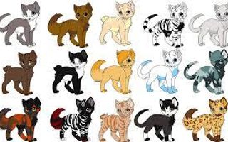 Who is this warrior cat? Who is this warrior cat?