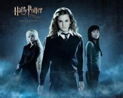 Which harry potter character are you? Girls only Which harry potter character are you? Girls only