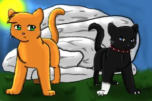 Warrior cats name (Prefix) Warrior cats name (Prefix)