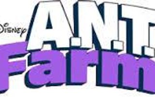 ANT FARM : WHICH CHARACTER ARE YOU . ANT FARM : WHICH CHARACTER ARE YOU .