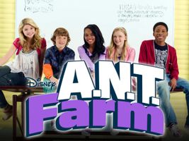 what Ant Farm character are you ? what Ant Farm character are you ?