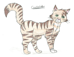 Do you know Crookedstar? Do you know Crookedstar?