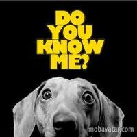 Do You Know Me? Do You Know Me?