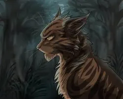 Guess that Warrior Cat!