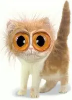 Are you like me? (8) Are you like me? (8)