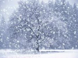 What is your season? What is your season?