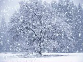 What is your season? What is your season?