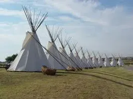 What is your tribe? What is your tribe?