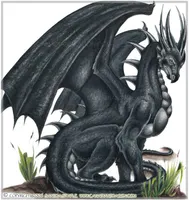 A dragon Quiz A dragon Quiz