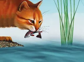 How well do you know Leopardstar? How well do you know Leopardstar?
