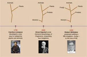 Test Your Knowledge on Evolution